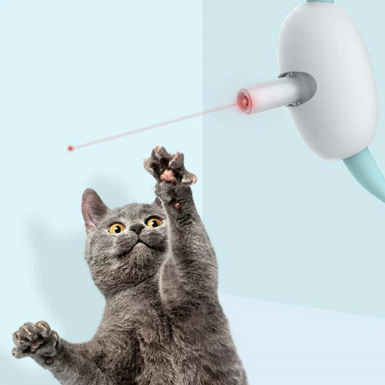 LaserPlay - Rechargeable Cat Laser Toy - Interactive Teaser with Type-C Charging