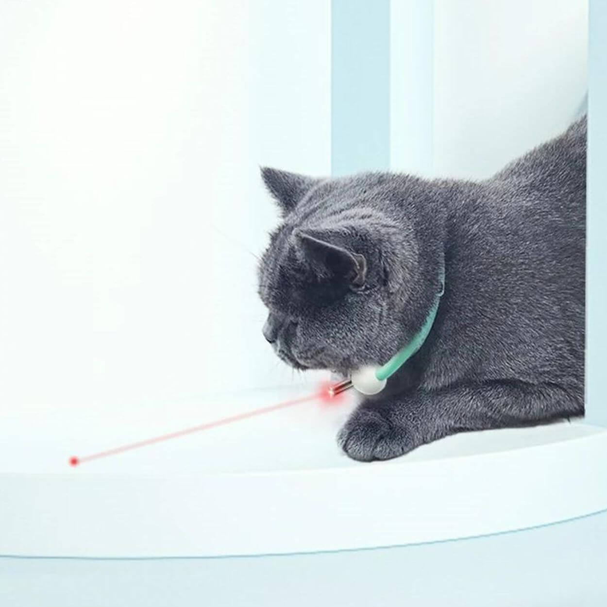 LaserPlay - Rechargeable Cat Laser Toy - Interactive Teaser with Type-C Charging