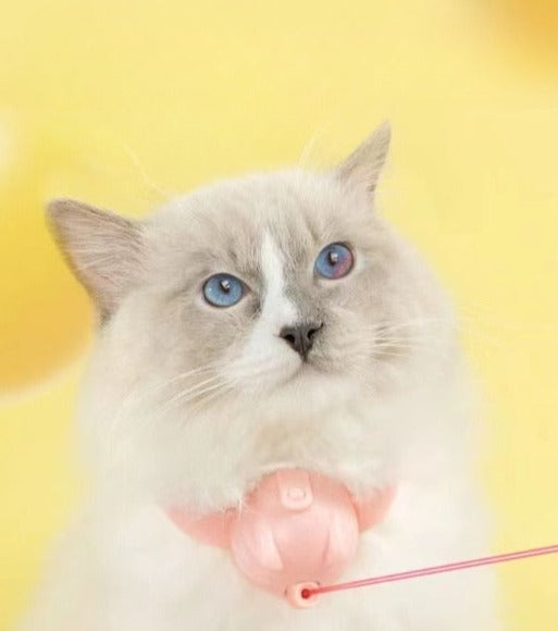 LaserPlay - Rechargeable Cat Laser Toy - Interactive Teaser with Type-C Charging