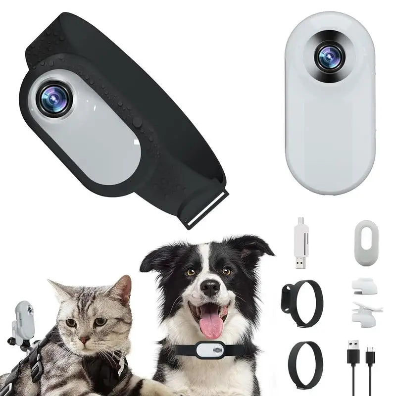 PetSight - HD Pet Collar Camera - 1080p Video and Photos to Capture Your Pet’s World